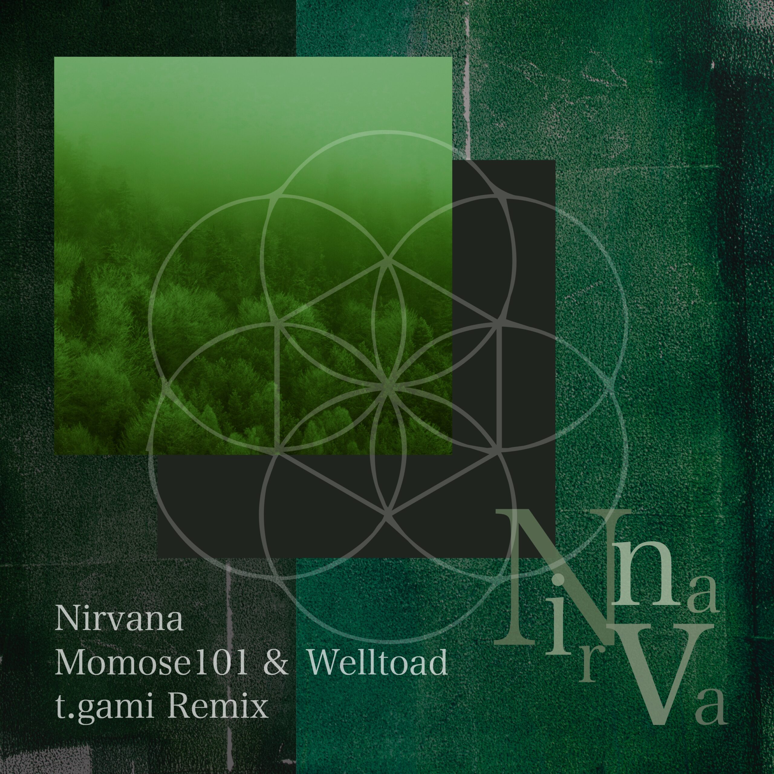 Nirvana t.gami Remix｜Momose101 & Welltoad